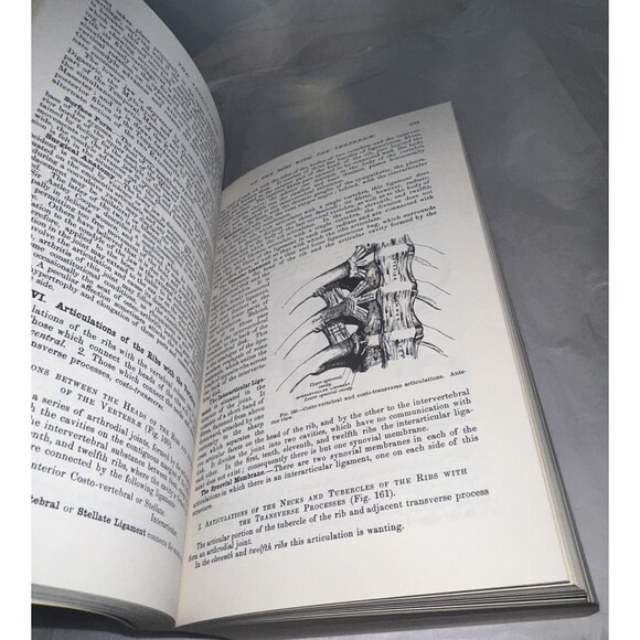 Gray's Anatomy The ILLUSTRATED Running Press Edition Of The American Classic '74 - Picture 5 of 7